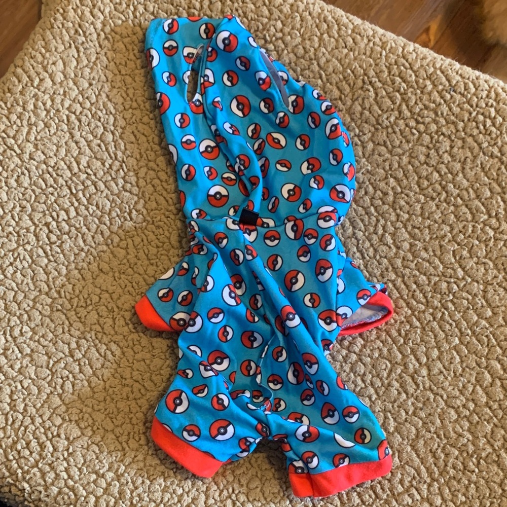 Build-A-Bear Dog Pokemon Outfit